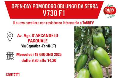 Invito V730 Fondi