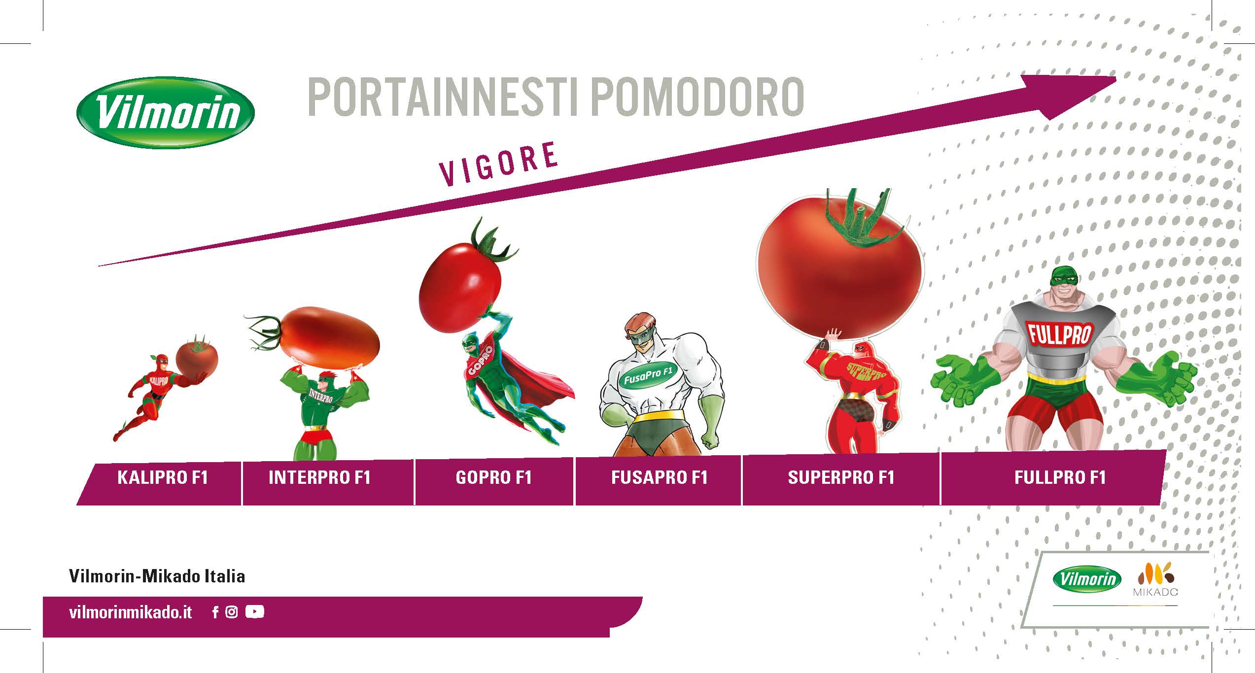 Gamma portainnesti pomodoro Vilmorin-Mikado