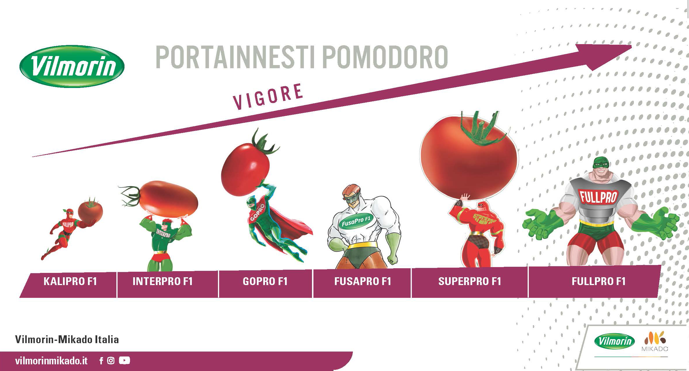 Gamma portainnesti pomodoro Vilmorin-Mikado