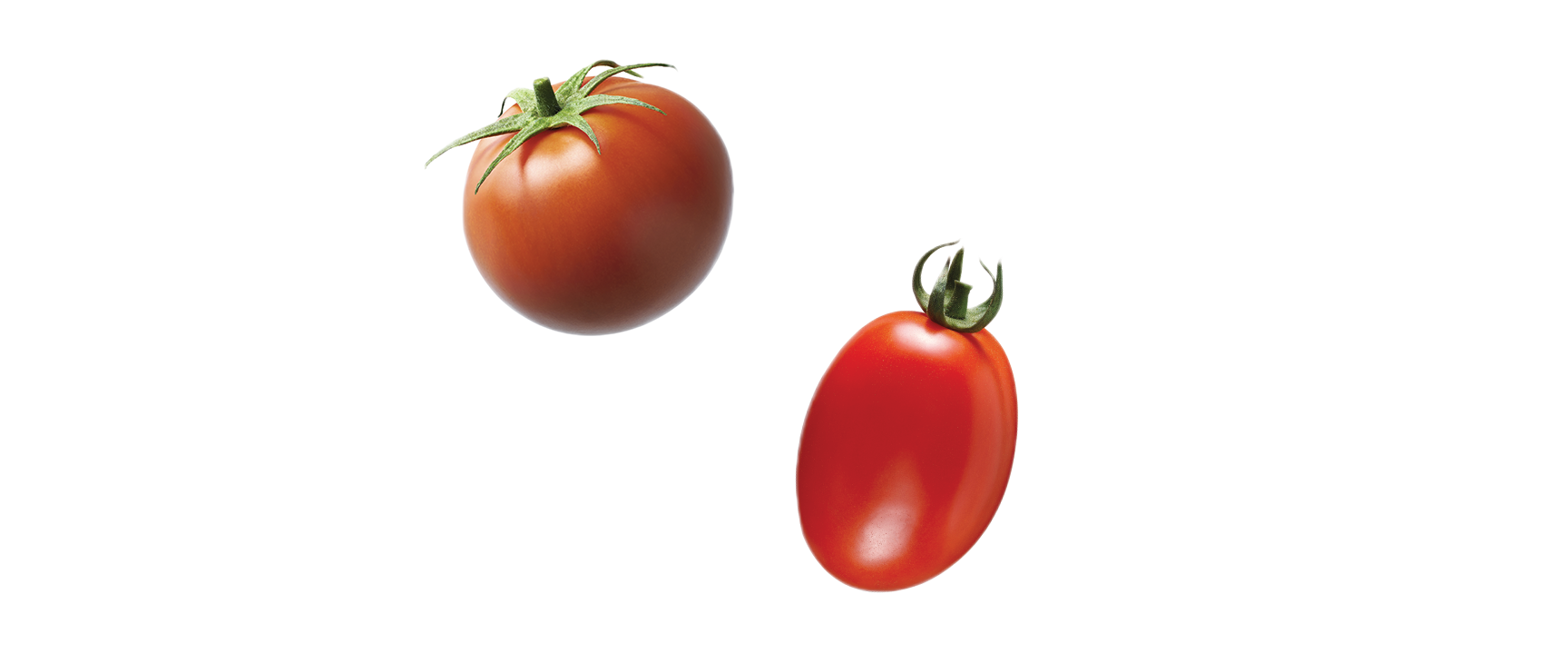 pomodori