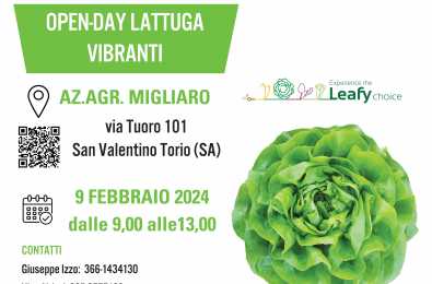 Open-day lattuga Vibranti